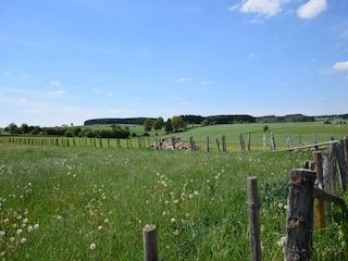 Holiday cottage Lierneux Environment 34