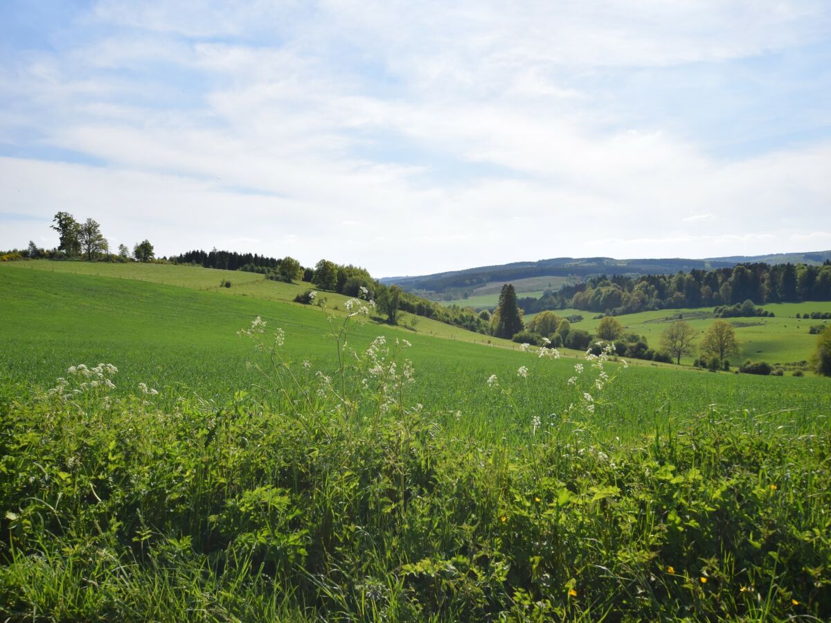 Ferienhaus Tenneville Umgebung 25