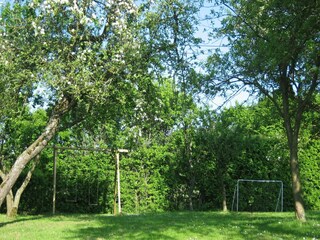 Casa de vacaciones Tenneville Grabación al aire libre 3