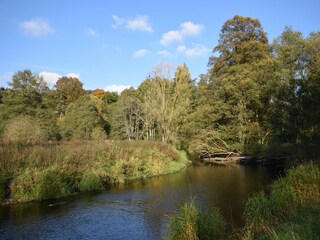 Casa per le vacanze Tenneville Ambiente 34
