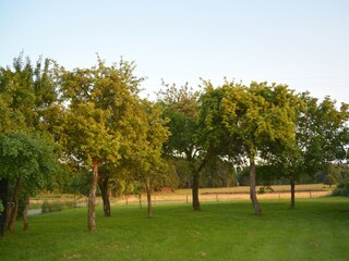 Vakantiehuis Tenneville Buitenaudio-opname 11