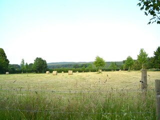 Holiday house Tenneville Outdoor Recording 12
