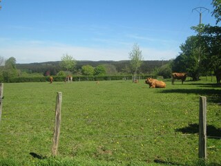 Casa per le vacanze Tenneville Registrazione all'aperto 9