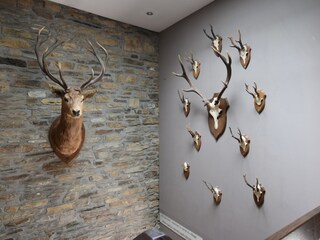 Boerderij Sainte-Ode  36