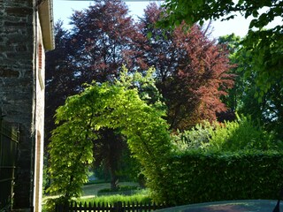 Castillo Tenneville Características 9