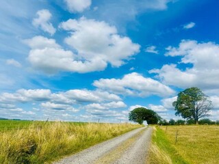 Castillo Tenneville Entorno 28