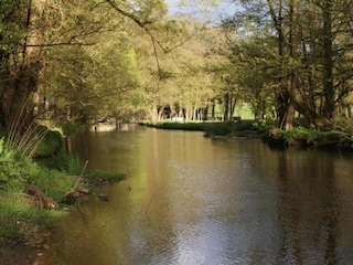 Schloss Tenneville Umgebung 26