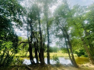 Castello Tenneville Ambiente 36