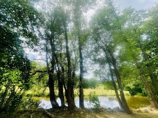 Château Tenneville Environnement 32