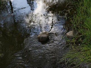 Schloss Tenneville Umgebung 24