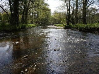 Château Tenneville Environnement 35