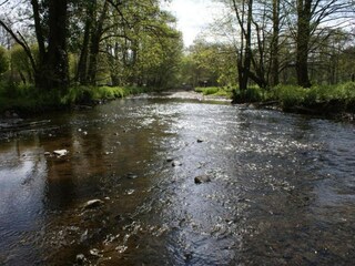 Castillo Tenneville Entorno 40