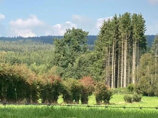 Château Tenneville Environnement 40