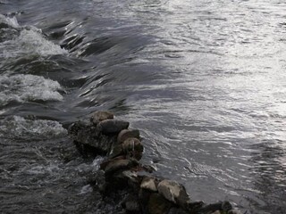 Holiday house Tenneville Environment 32