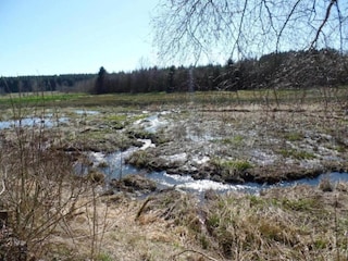 Ferienhaus Tenneville Umgebung 38