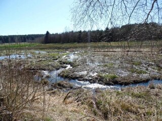 Vakantiehuis Tenneville Omgeving 38