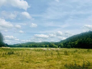 Casa per le vacanze Tenneville Ambiente 35