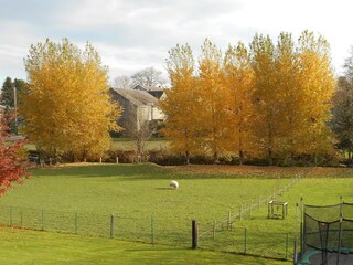 Maison de vacances Bastogne Enregistrement extérieur 9