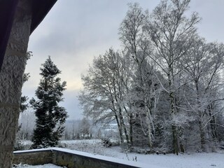 Villa Vielsalm Außenaufnahme 7