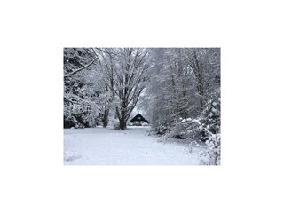 Villa Vielsalm Ambiente 28