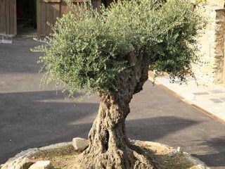 Casa per le vacanze Vielsalm  36