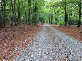 Vakantiehuisje Vielsalm Omgeving 30