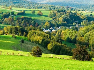 Vakantiehuisje Vielsalm Omgeving 27