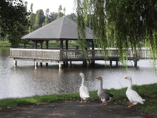 Cottage Vielsalm Umgebung 28