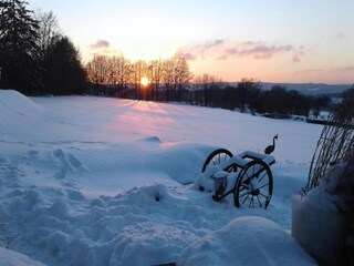 Casa de vacaciones Vielsalm Entorno 37