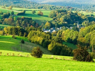 Maison de vacances Vielsalm Environnement 30