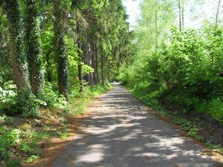 Vakantiehuisje Vielsalm Omgeving 32