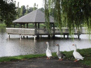 Vakantiehuisje Vielsalm Omgeving 33