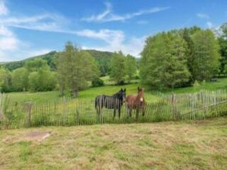 Casa per le vacanze Vielsalm Ambiente 25