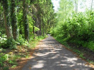 Vakantiehuis Vielsalm Omgeving 27