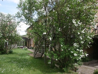 Cottage Robelmont Außenaufnahme 3