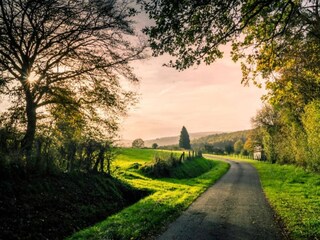 Vakantiehuisje Robelmont Omgeving 23