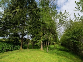 Vakantiehuisje Herbeumont Omgeving 26