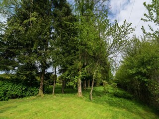 Vakantiehuisje Herbeumont Omgeving 37