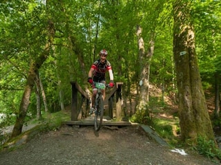 Vakantiehuisje Herbeumont Omgeving 22