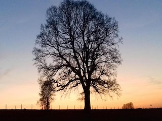 Vakantiehuisje Herbeumont Omgeving 23
