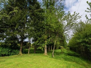 Cottage Herbeumont Umgebung 26