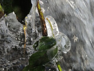 Ferienhaus Paliseul Außenaufnahme 2