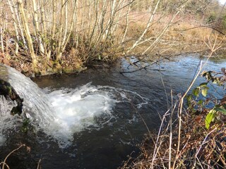 Vakantiehuis Paliseul Buitenaudio-opname 8