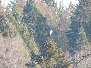 Casa per le vacanze Paliseul Registrazione all'aperto 10