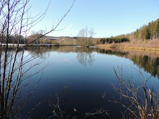 Ferienhaus Paliseul Außenaufnahme 19