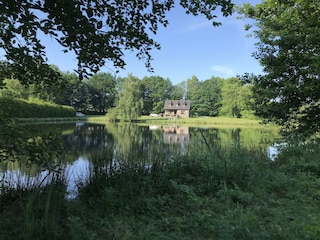 Maison de vacances Paliseul Environnement 39