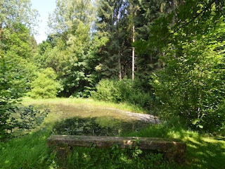 Holiday house Bouillon Outdoor Recording 7