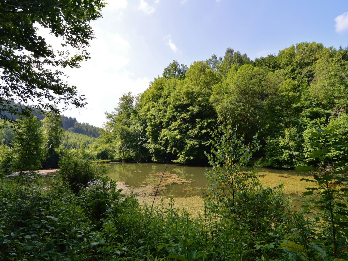 Ferienhaus Bouillon Umgebung 30