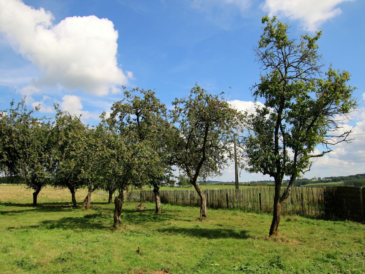 Ferienhaus Neufchâteau Außenaufnahme 6