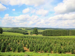 Ferienhaus Neufchâteau Außenaufnahme 4